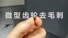  小微齒輪去毛刺清理，適合磨粒流加工！ 